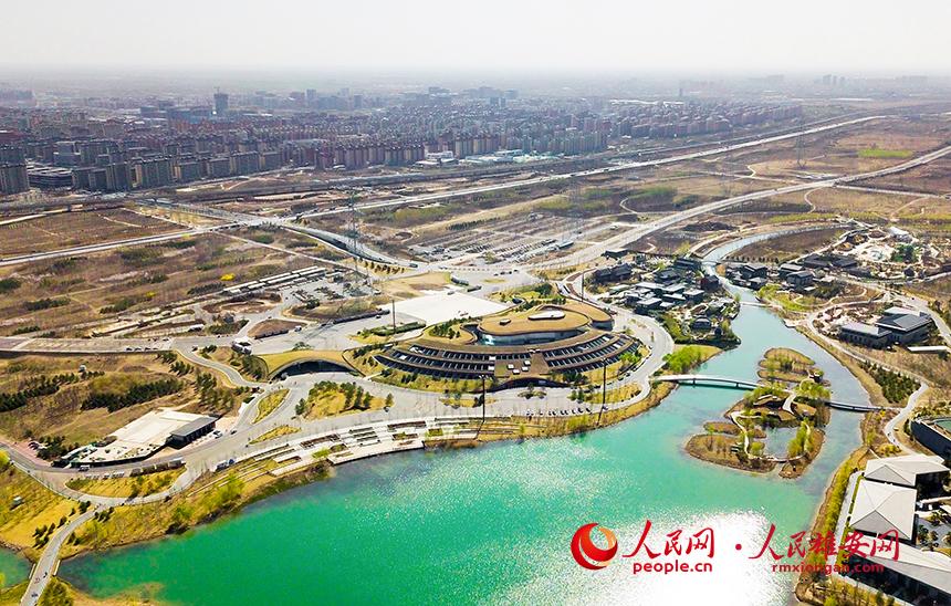 航拍雄安郊野公園。人民網(wǎng)宋燁文攝