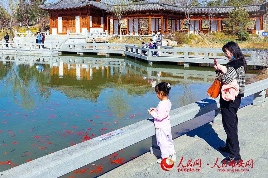 雄安悅?cè)莨珗@一角，不少家長帶著孩子前來游玩。人民網(wǎng)宋燁文攝