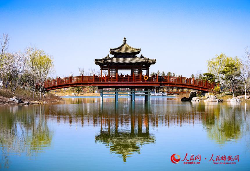 雄安悅?cè)莨珗@一角，微風(fēng)吹動(dòng)水面，泛起陣陣漣漪。人民網(wǎng)宋燁文攝