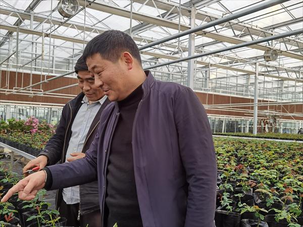 諸新良和農(nóng)戶一起研究花木種植技術(shù)。受訪者供圖