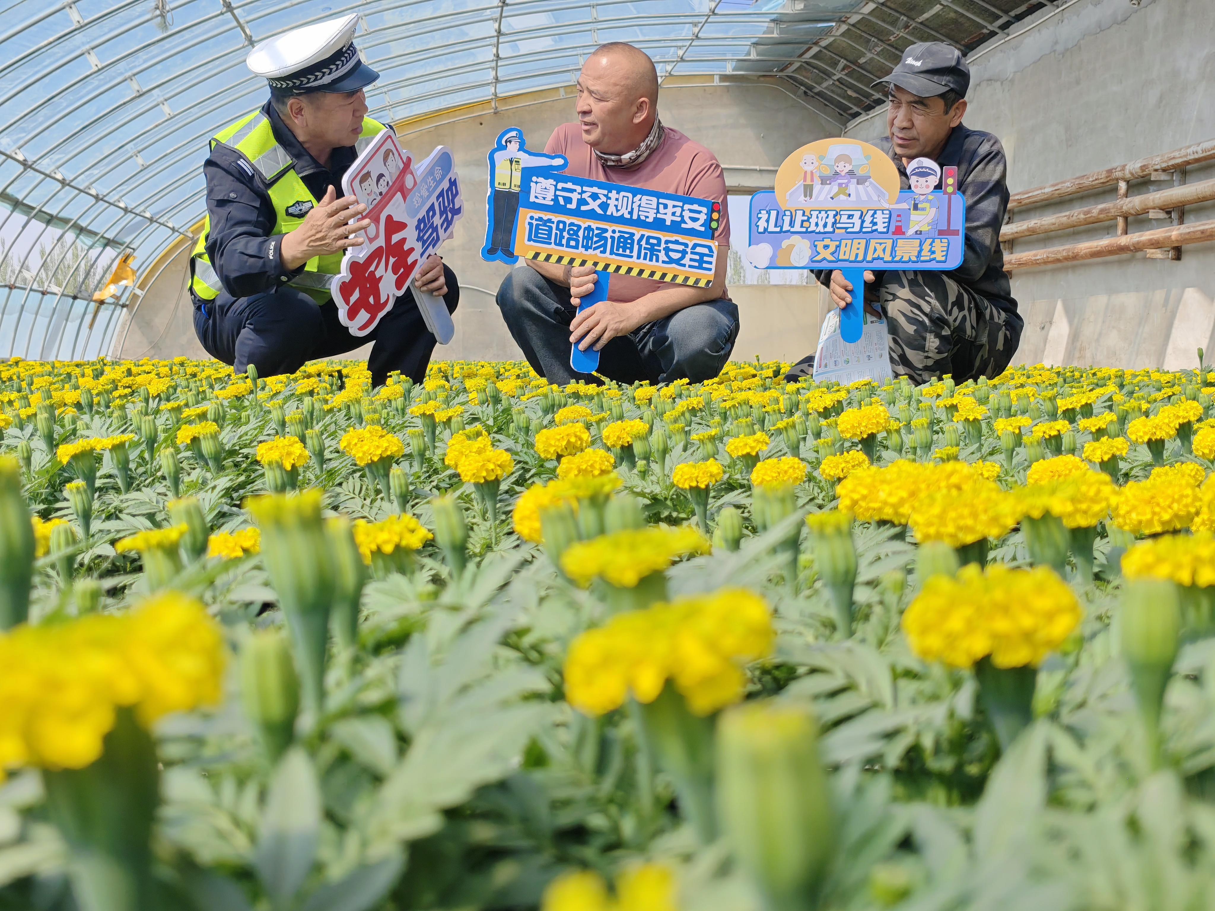 新疆庫爾勒：花卉“艷”“警”色美