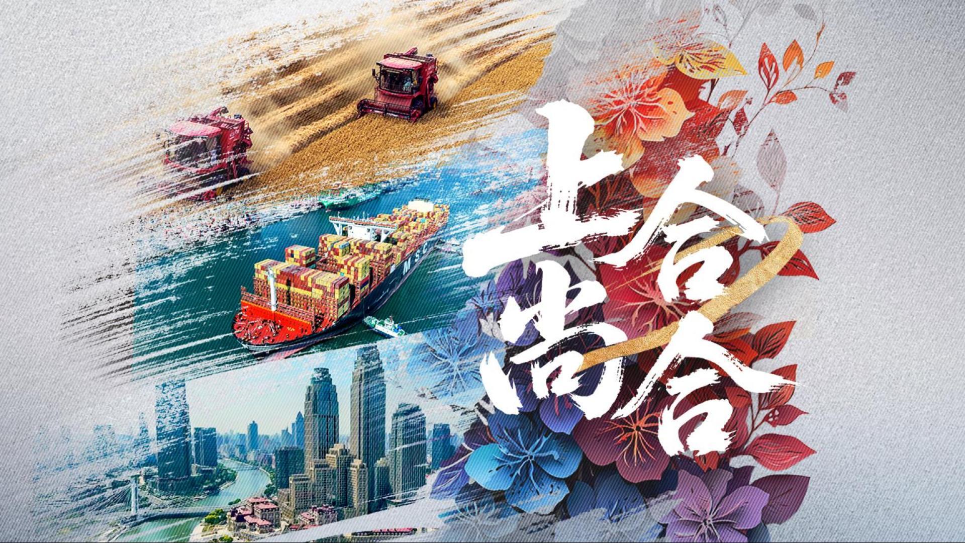 紀(jì)錄片丨上合，尚合